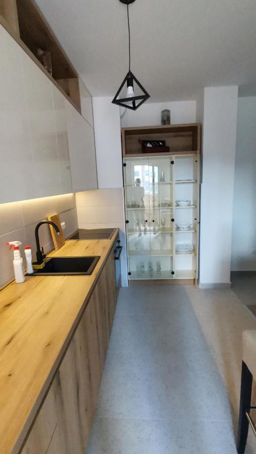 Apartman Aleksa Жабляк Экстерьер фото